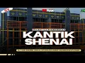 Download Lagu dj kantik shenai alfin revolution terbaru 2025 viral Tik tok andalan Riswanda 