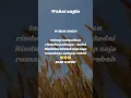 Download Lagu Wahai angin #shorts