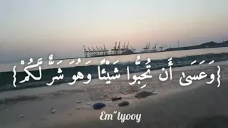 القارئ ماهر المعيقلي  وعسى أن تكرهوا شيئا وهو خير لكم وعسى أن تحبوا شيئا وهو شر لكم     سورة البقرة  دندنها