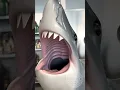 Download Lagu Chocolate Shark! 🦈 This 7,5ft long and 150lbs 100% chocolate is one of my largest creation!