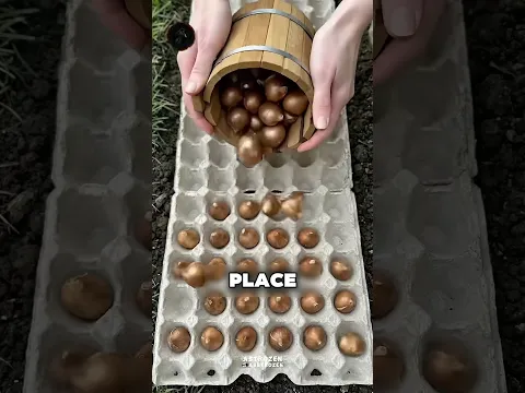 Old Containers Can Grow a Whole Garden 😮