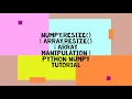 NUMPY RESIZE ARRAY RESIZE ARRAY MANIPULATION PYTHON NUMPY TUTORIAL