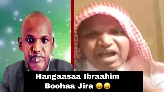 jawween kiyya akkasitti hangaasaa fi pp maraache