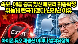 속보 , 애플 중국 창신메모리 최종확정 뒤늦게 한국가겠다 난리난 이유 아이폰 듀오 재생산 어쩌나 발칵뒤집혀