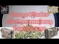 Download Lagu Long Range dan Strelok Membutuhkan Alat Pengukur Jarak  Yang Akurat || MAE Slug