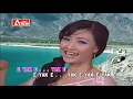 Download Lagu DISCO JAWA - JANGKRIK GENGGONG (Official Video Musik ) HD
