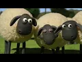 Lagu (NO ADS) NEW Shaun The Sheep Full Episodes About 11 Hour Collection 2017 HD