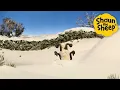 Lagu 🏡🐑 Shaun the Sheep Full Farm Tales! – Cartoons for Kids | Mega Episode Mix [1 Hour]