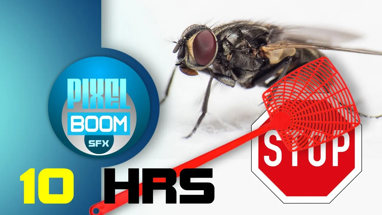 10HRS Anti Flies Repellent Ultrasonic Sound (50-60)Hz #chasefliesaway #noflies #stopflies #antiflies