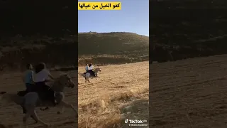 ان طقت و ان ما طقت ناخذها بزود و خاوة 
