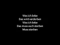 Rammstein - Was Ich Liebe (Lyrics)