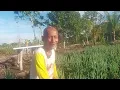 Download Lagu MBAH ARIS TRANSMIGRASI ASAL BOYOLALI SEMANGAT TERUS UNTUK KEMBNGKN PERTANINYA