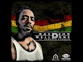 Well Done (feat. Kabaka Pyramid)