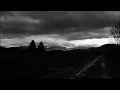 Gustavo Santaolalla - Pajaros