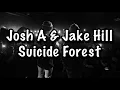 Download Lagu Josh A \u0026 Jake Hill - Suicide Forest Lyrics