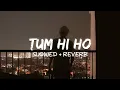 Download Lagu Tum Hi Ho (Slowed + Reverb)