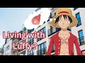 Reading a Luffy x Reader about Living Together The Wattpad Book Club