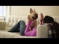 Banfield Pet Hospital - Pet Health Tracker Mobile App