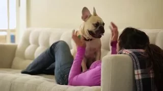 Banfield Pet Hospital - Pet Health Tracker Mobile App