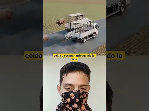 Los pastores utilizan el vino para esto? 😱🐄 #shorts #parati #foryou #viral #short