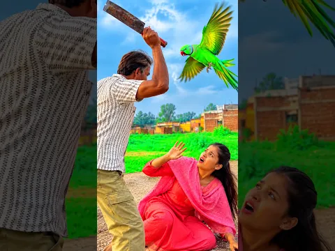 Part-1￼😲तोते ने जान बचाई😭#parrot #dosti #viral #video 😍#trending #parrots #shorts #shortvideo ❤️