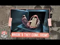 THE INSANE HISTORY OF TOE TAGS