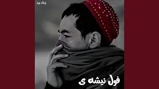 دیده ام در شهر دندنها