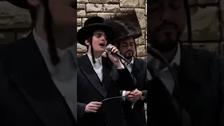 מצמרר מוטי שטיינמץ שר ומתפלל בחופה לרפואת יוסף יהושע בן פרומט ביילא 