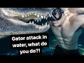 Gator Attack in water what do you do