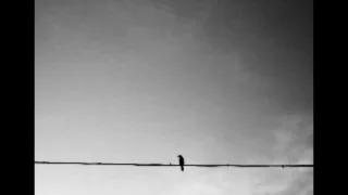 Nusrat Fateh Ali Khan Nothing Without You 