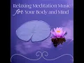 Zen Music Garden