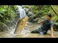 Living in the Forest Encountering a Giant Carp After the Flood