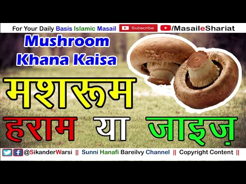 Mashroom Khana Haram Ya Halal | मशरूम की सब्ज़ी खाना कैसा | Is Mashroom Halal in Islam
