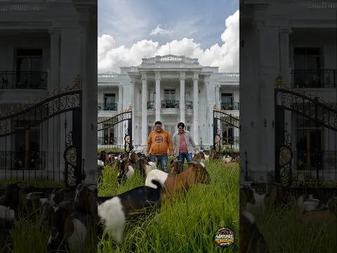 Ide Jenius Dontol dan Jinu Memotong Rumput Halaman berakhir Kacau🤣 #kapybara