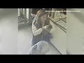 Maine Warden Service seeks information on woman who brought raccoon to Auburn Petco
