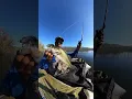 hard to beat