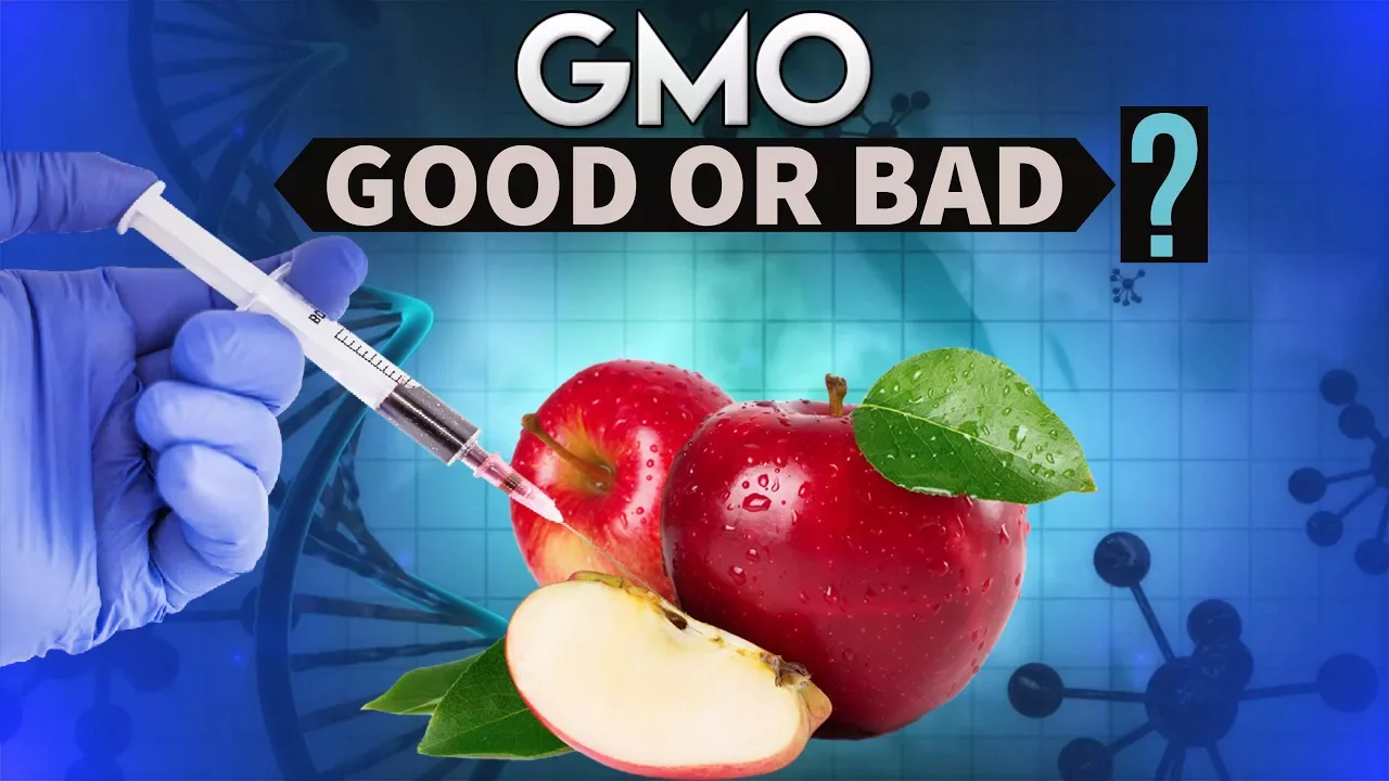 GM Mustard controversy- Genetically modified organisms - LMO/GMO - UPSC/IAS