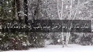  ج ن  ات  ع د ن  ال  ت ي و ع د  الر  ح م  ن  ع ب اد ه  ب ال غ ي ب   عبدالرحمن مسعد دندنها
