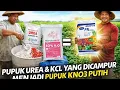 Lagu ‼️CARA BUAT PUPUK KNO3 dari UREA + KCL‼️Unsur Cocok ✔️ Fungsi Sesuai ✔️ Tanpa Resiko Sensitif Klor✔️