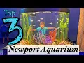 The Best of Newport Aquarium Top three MUST SEE