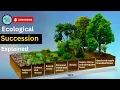 Ecological succession step by step Primary and secondary seccession class 12 biology