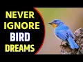 Download Lagu What Does Bird Dream Meaning | Dreaming of Birds | Flying Birds Dream Interpretation