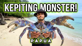 KEPITING DARAT TERBESAR DI DUNIA | PAPUA - SUPIORI (KEPITING KELAPA)