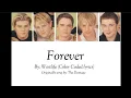 Westlife - Forever (Color Coded lyrics)