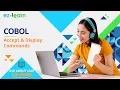 COBOL Accept Display Commands