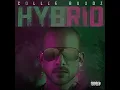 Legal Now - Collie Buddz