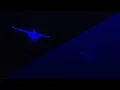 Subnautica VS Below Zero Ecological Dead Zones