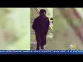 NYPD Focusing On Person Of Interest In Livery Driver Stabbing