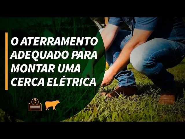 Vídeo do produto
