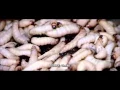 Download Lagu Dawn of the Dead - Opening \u0026 Ending Credits